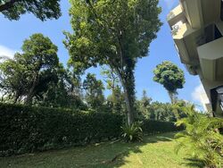 The Draycott (D10), Apartment #464335781